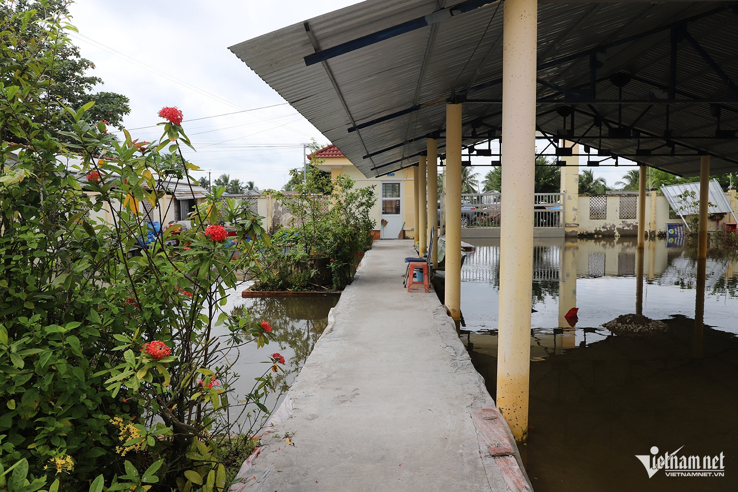 W-trường ngập sâu 3.JPG.jpg