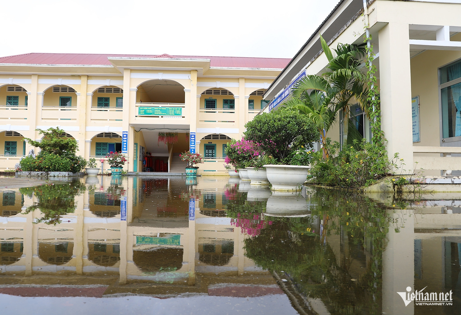 W-trường ngập sâu.JPG.jpg