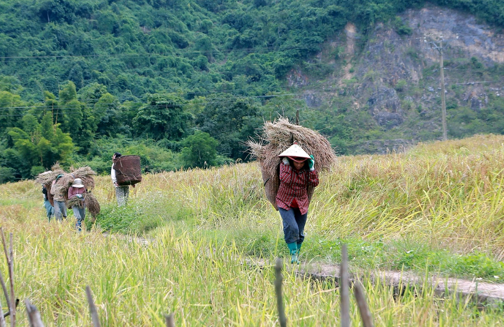 a6Vẻ đẹp bình yên của.jpg