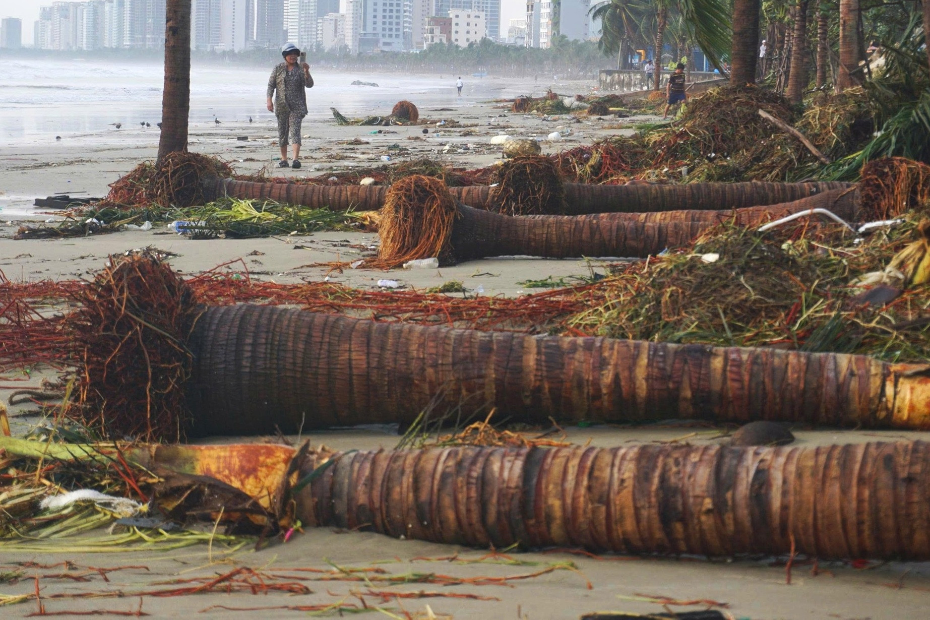 Hàng dừa đổ rạp, rác phủ kín đường ven biển Đà Nẵng khi bão Kalmaegi quét qua