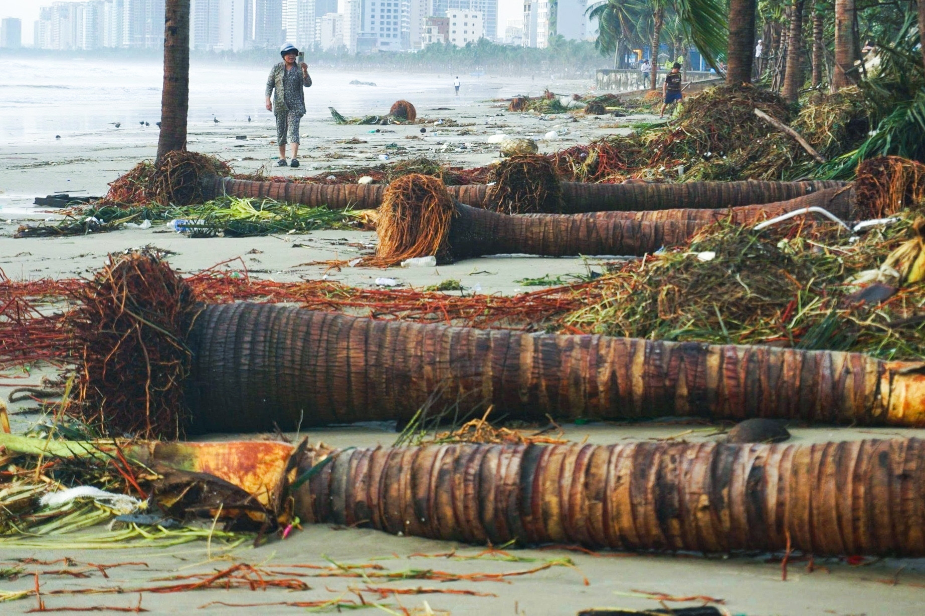 Hàng dừa đổ rạp, rác phủ kín đường ven biển Đà Nẵng khi bão Kalmaegi quét qua