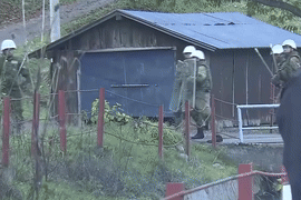 Nhật Bản huy động đội quân tinh nhuệ đi tiêu diệt gấu