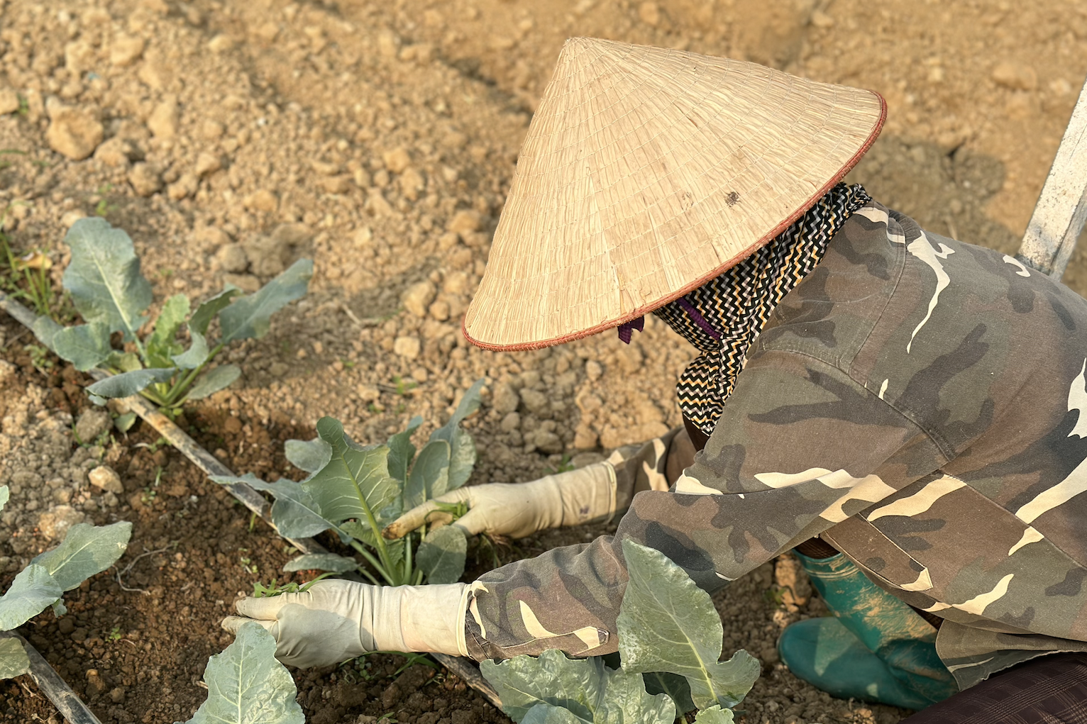 Tủa Chùa xây dựng nông thôn mới: Phát huy thế mạnh truyền thông cơ sở