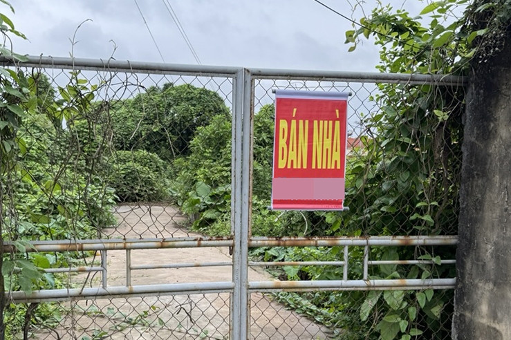 Vỡ mộng 'ôm đất chờ lên phố': Nhà đầu tư mắc kẹt, bán cắt lỗ thoát hàng