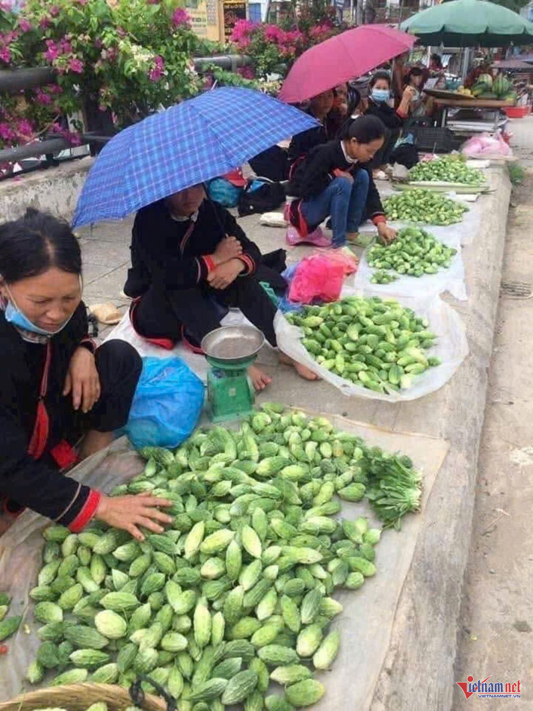 W-anh bai 1 chuan.jpg