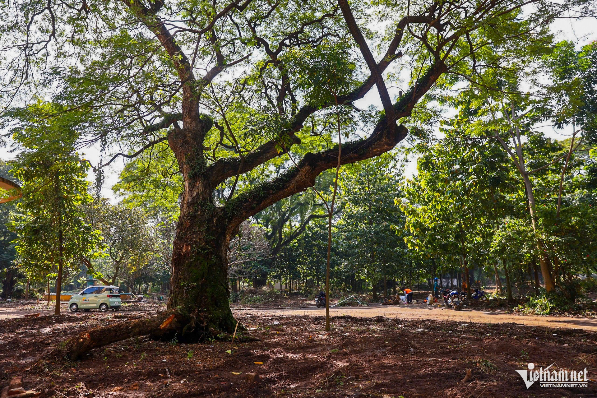 w dat vang tphcm 10 2388.jpg