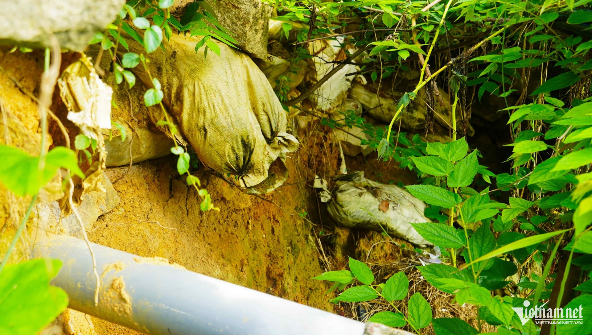 W-nguy cơ sạt ở ở vũng tàu phải di dời hàng chục người dân 2.jpg