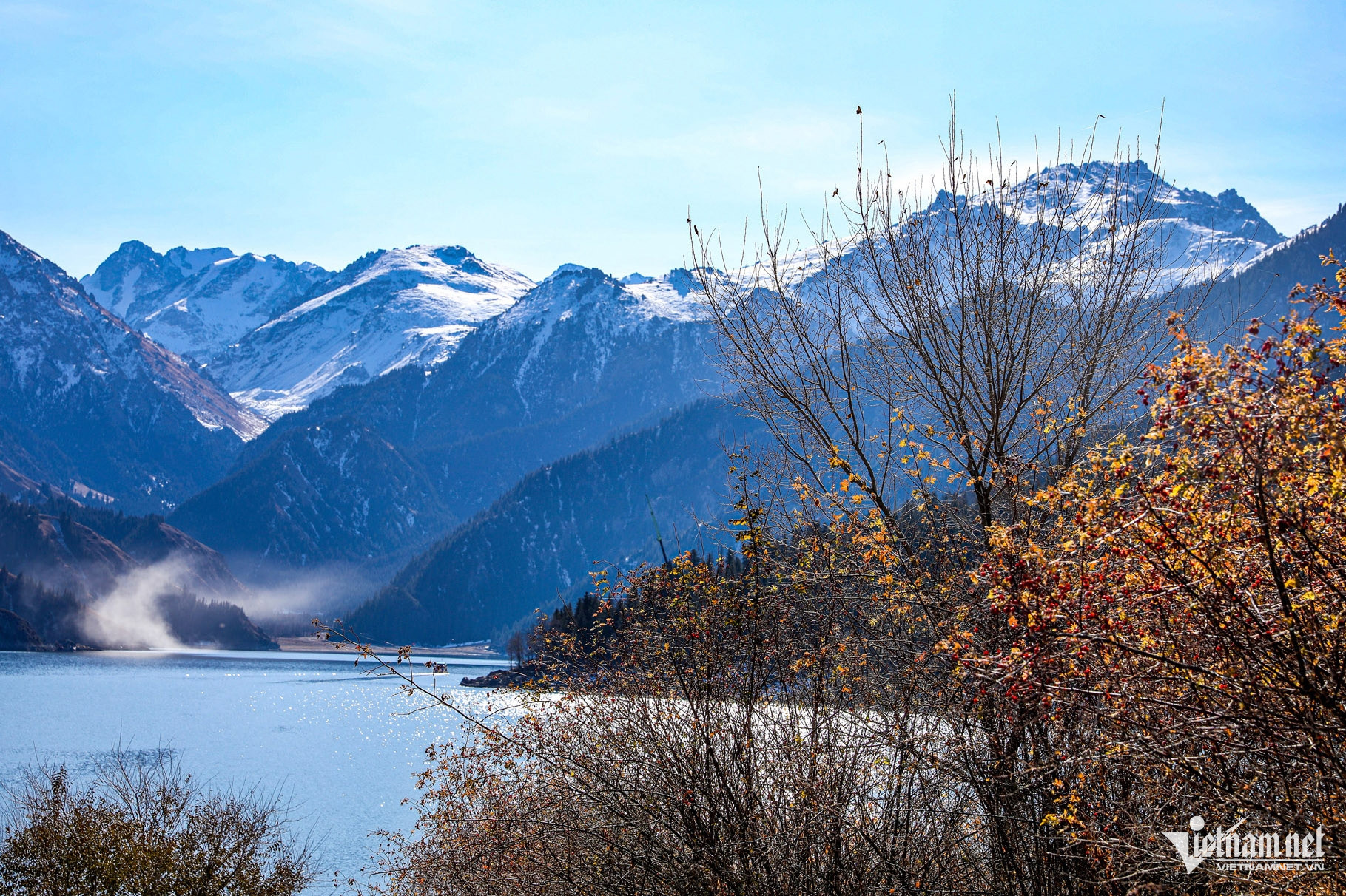 W-tan cuong (13).jpg