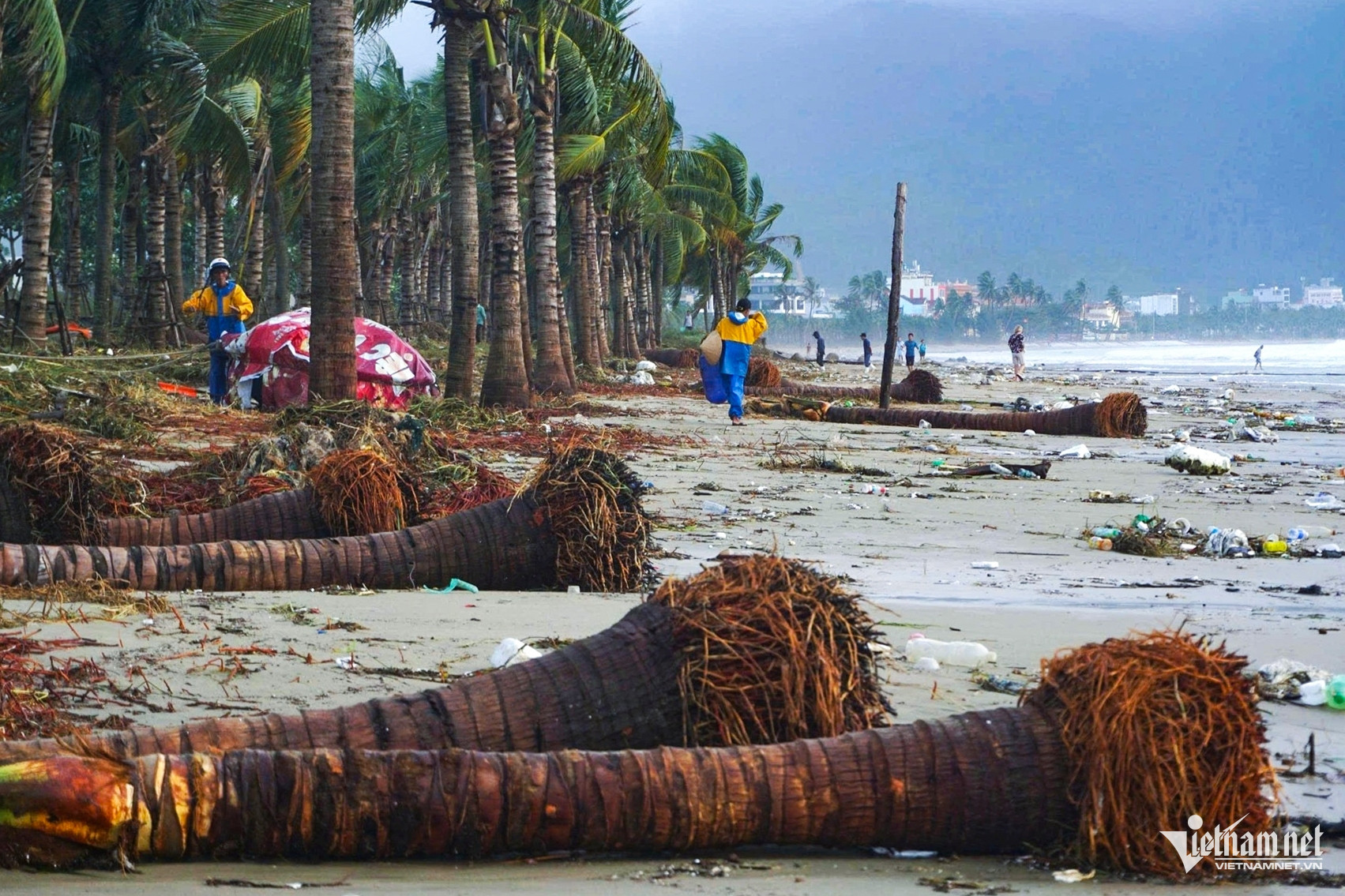 W-w z7197401956106 216ac5e9aa076ef92faca0f7b8d7d60d 1311.jpg