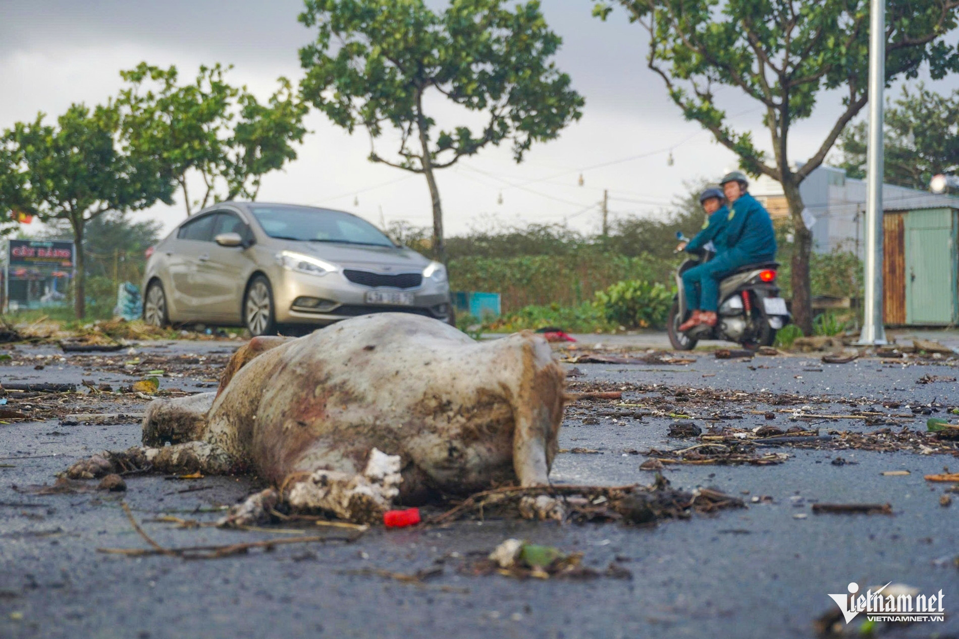 w z7197404883382 8db5bfb813d992d7906263091de66a3c 1310.jpg