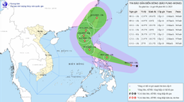 bao fung wong moi nhat.png