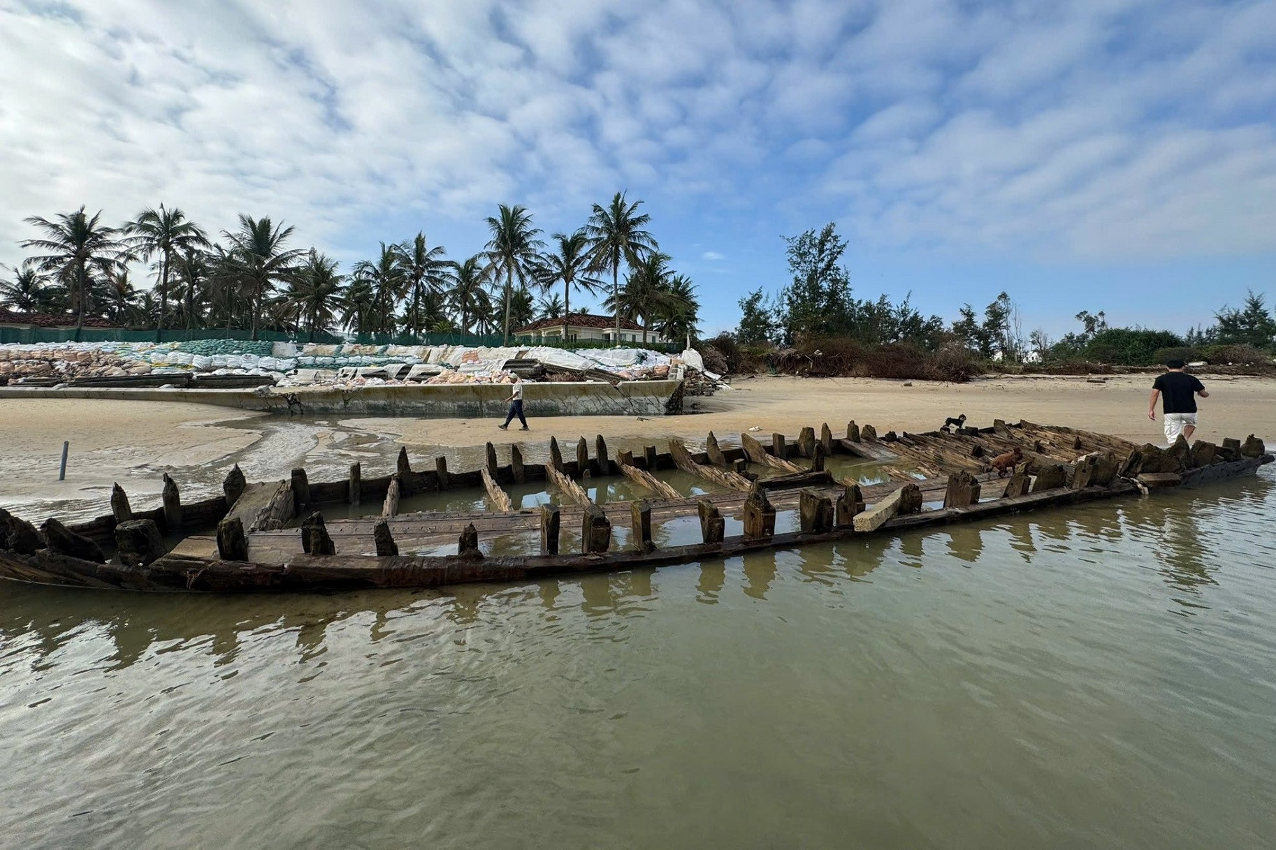 Lai lịch xác tàu cổ được cho là bảo vật hiếm ở vùng biển Hội An