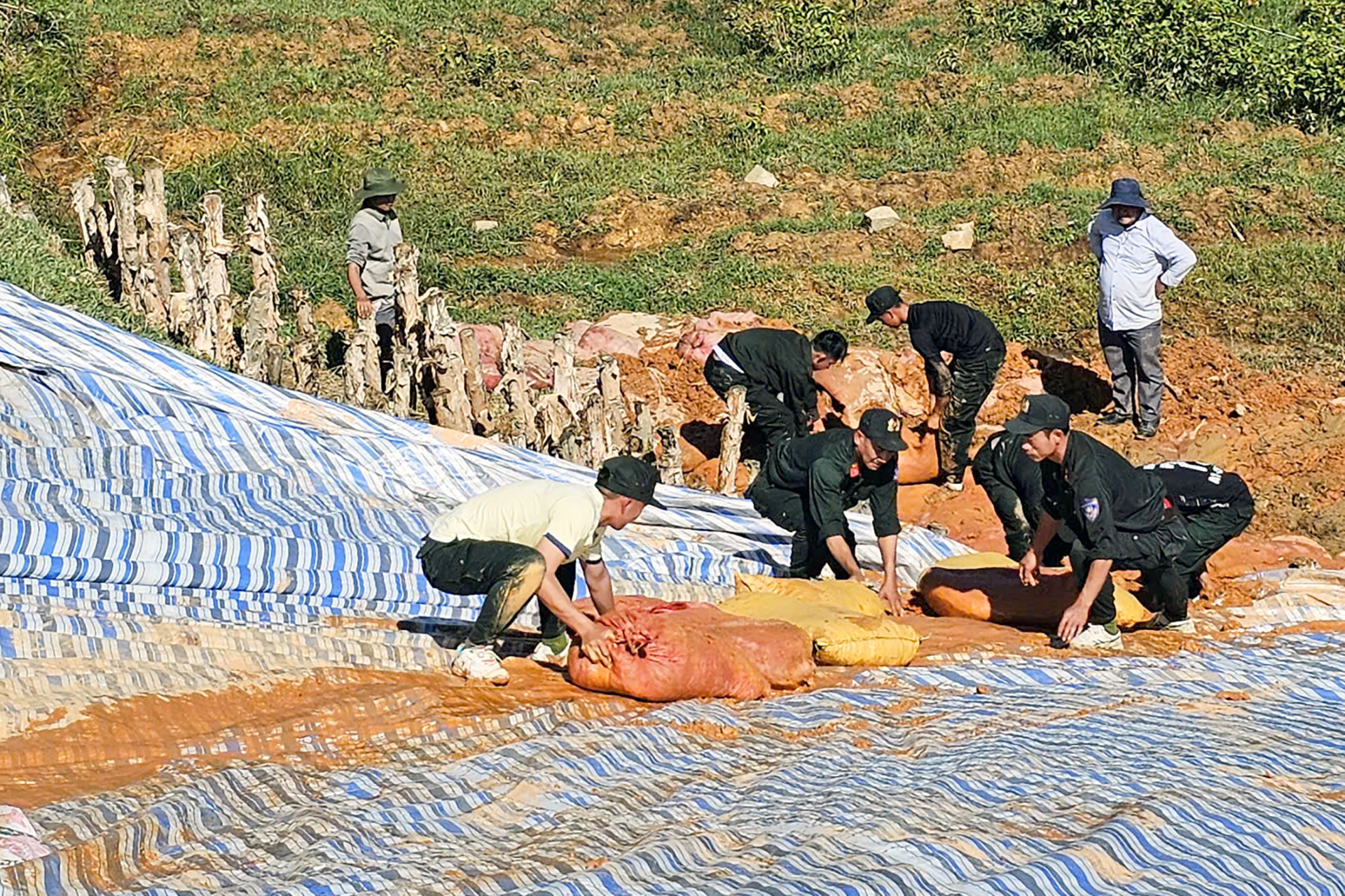 Vo dap lam dong 2.jpg