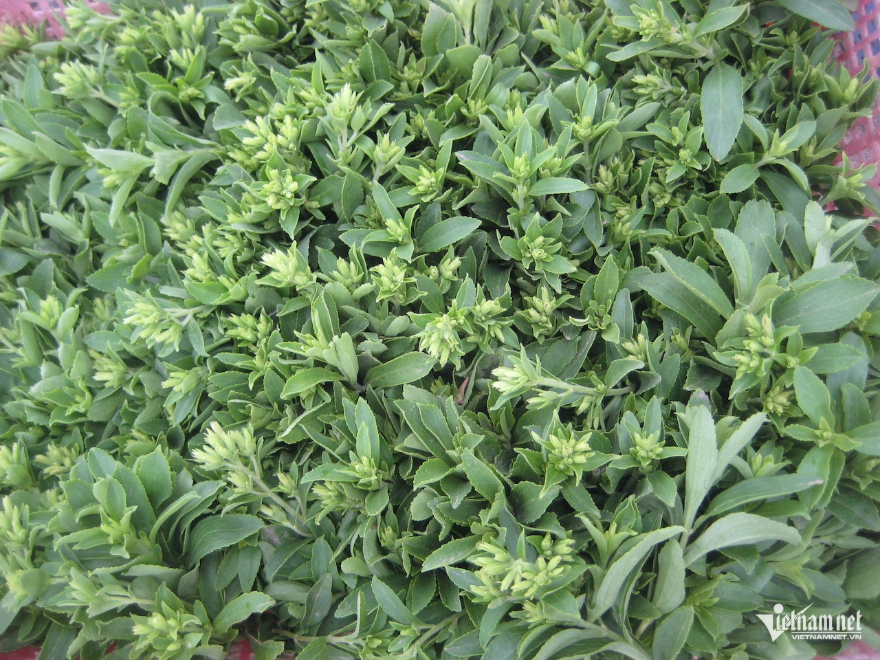 W-59117378 f34c 4c50 b01e 75b58de3432a.jpeg