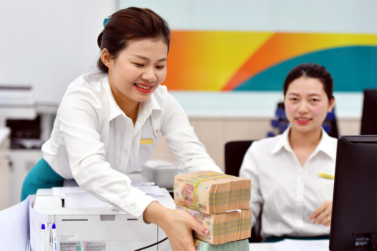 Doanh nghiệp mới thành lập cần cập nhật những thông tin này để tránh bị xử phạt