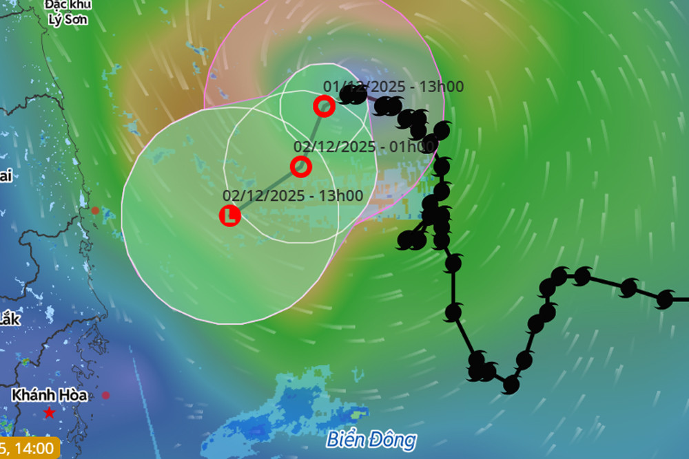 bao so 15 suy yeu.jpg