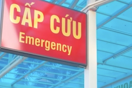 Bệnh viện ở Hà Nội bị tố chậm cấp cứu cho bệnh nhân bị chó cắn