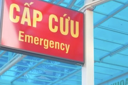 4 người trong gia đình ở Lào Cai bị chó cắn, 1 người tử vong nghi do bệnh dại Bệnh viện ở Hà Nội bị tố chậm cấp cứu cho bệnh nhân bị chó cắn