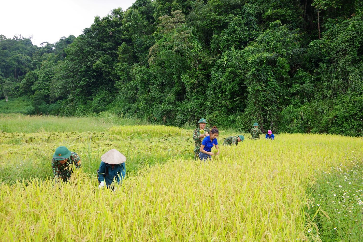 Bộ đội Biên phòng Thanh Hóa chung tay xây dựng nông thôn mới vùng biên