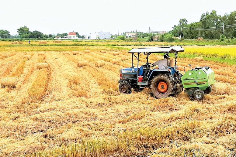 Gia Lai: Thúc đẩy liên kết giữa hợp tác xã và doanh nghiệp