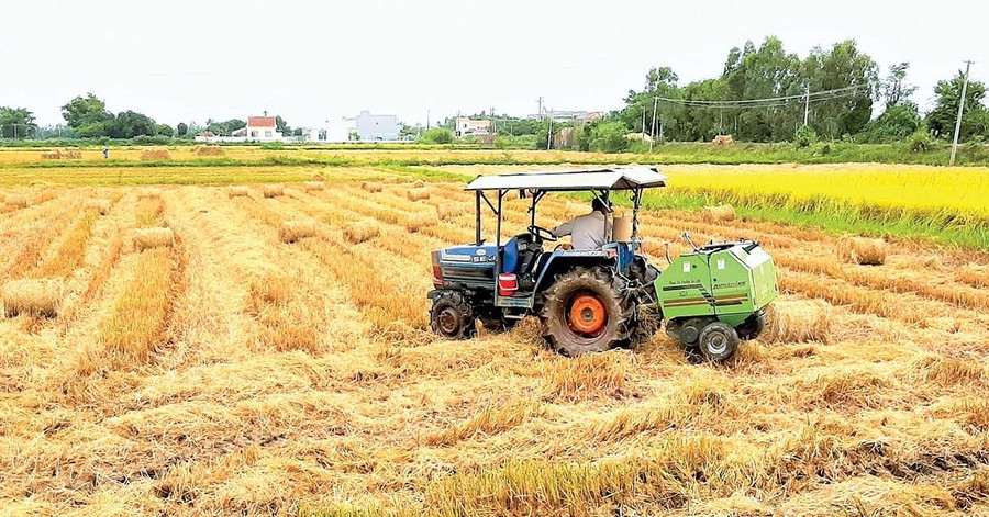 Gia Lai: Thúc đẩy liên kết giữa hợp tác xã và doanh nghiệp