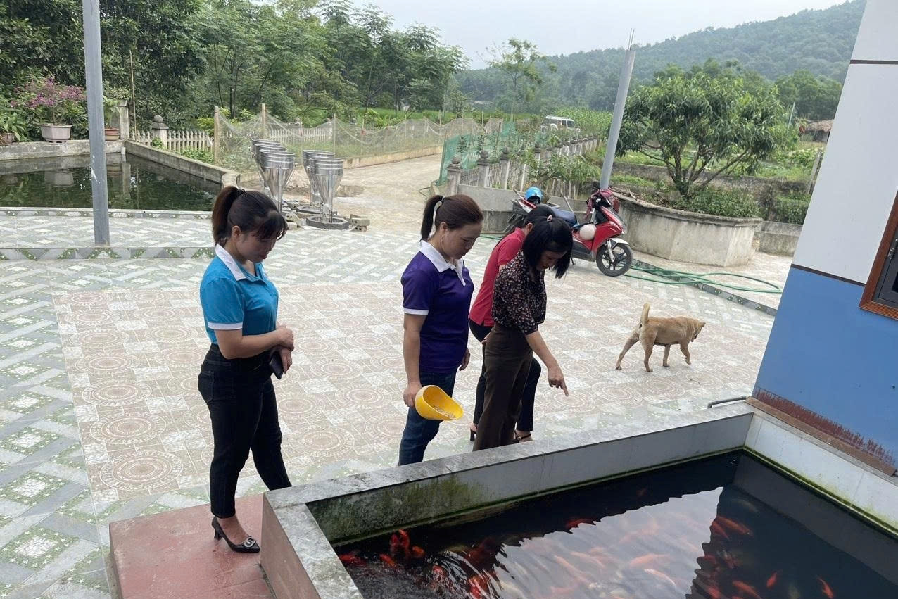 Làng văn hóa Tuần Tiến: Điểm sáng xây dựng nông thôn mới, đô thị văn minh