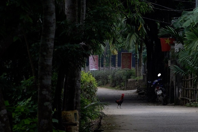 Nậm Ty hoàn thiện các tiêu chí, hướng tới đạt chuẩn nông thôn mới