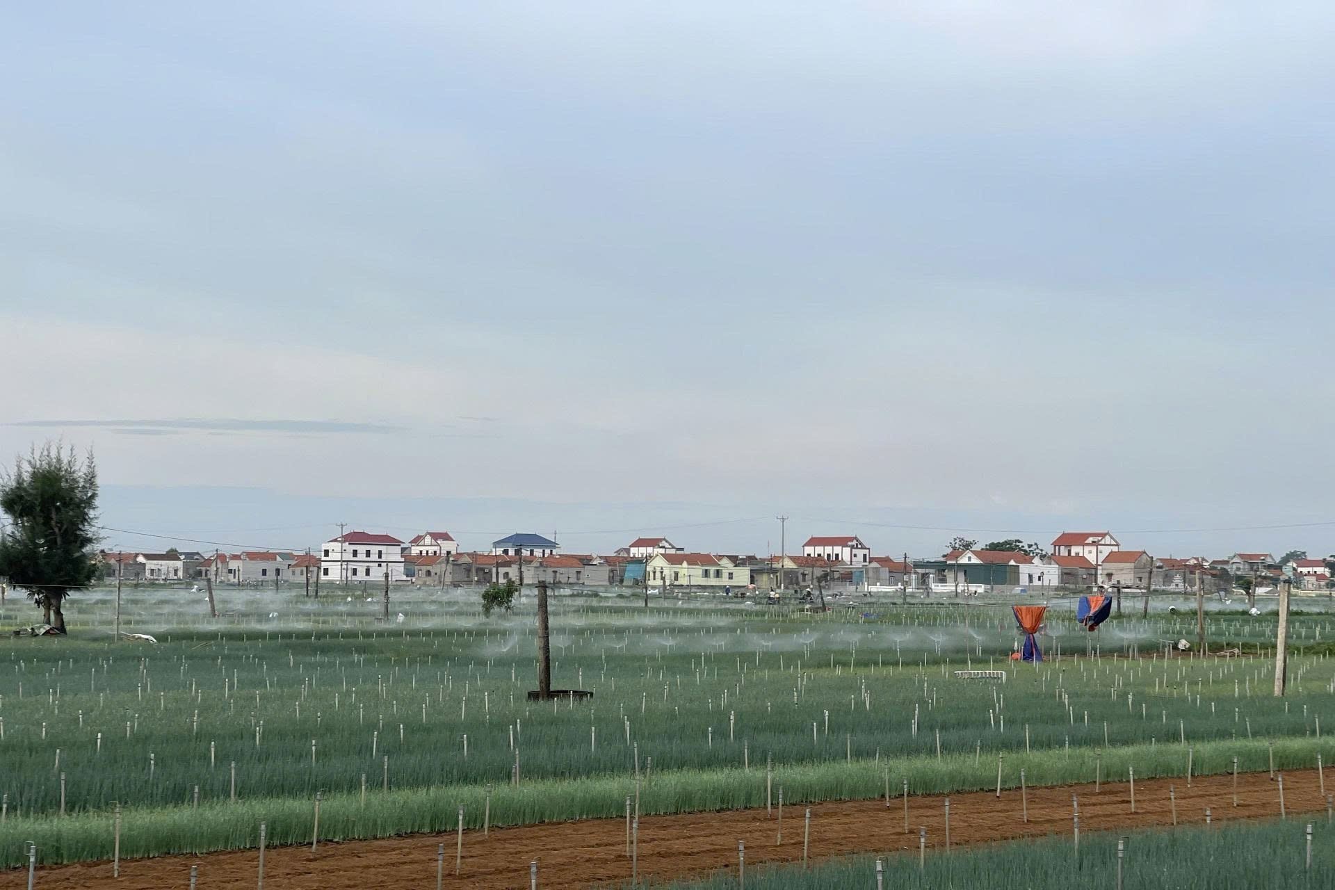 Nâng cao nhận thức chuyển đổi số trong xây dựng nông thôn mới cho nông dân