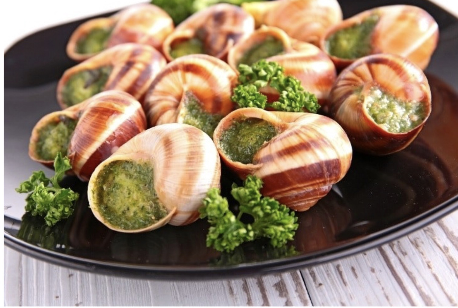 Ốc sên Pháp. Ảnh: Cooking frog