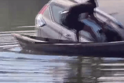 Thót tim khoảnh khắc nam tài xế được giải cứu khỏi ô tô lao xuống hồ