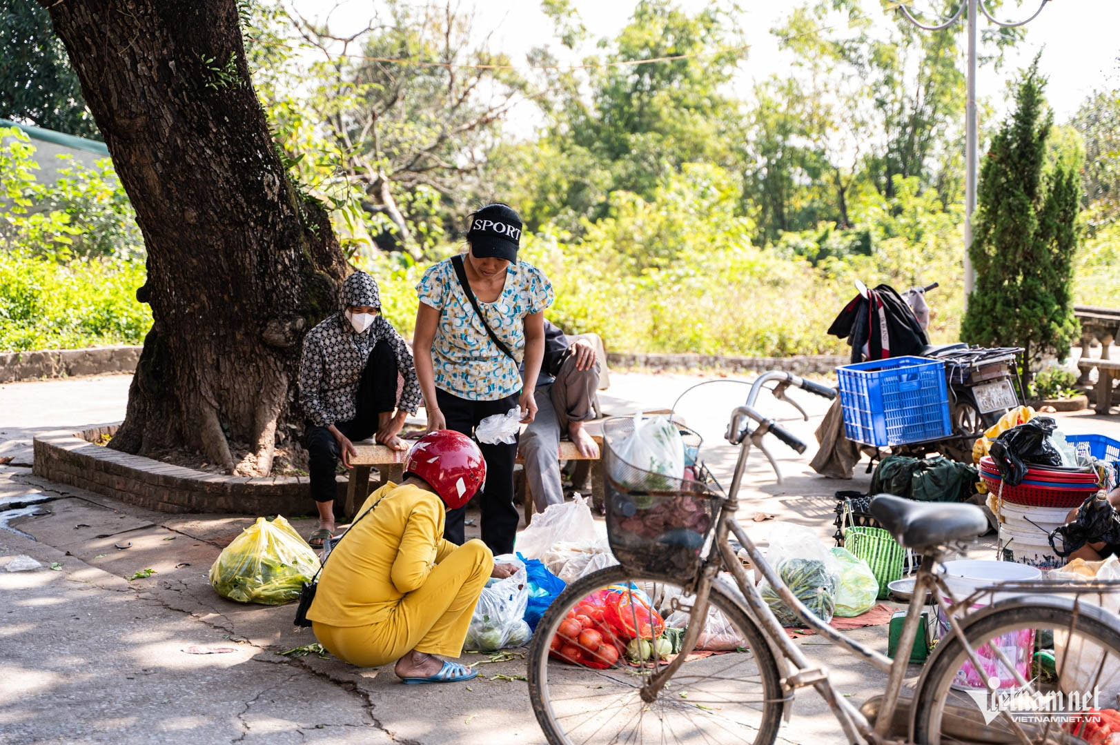 https://static-images.vnncdn.net/vps_images_publish/000001/000003/2025/12/1/w-lang-cuu-ha-noi-2028.jpg
