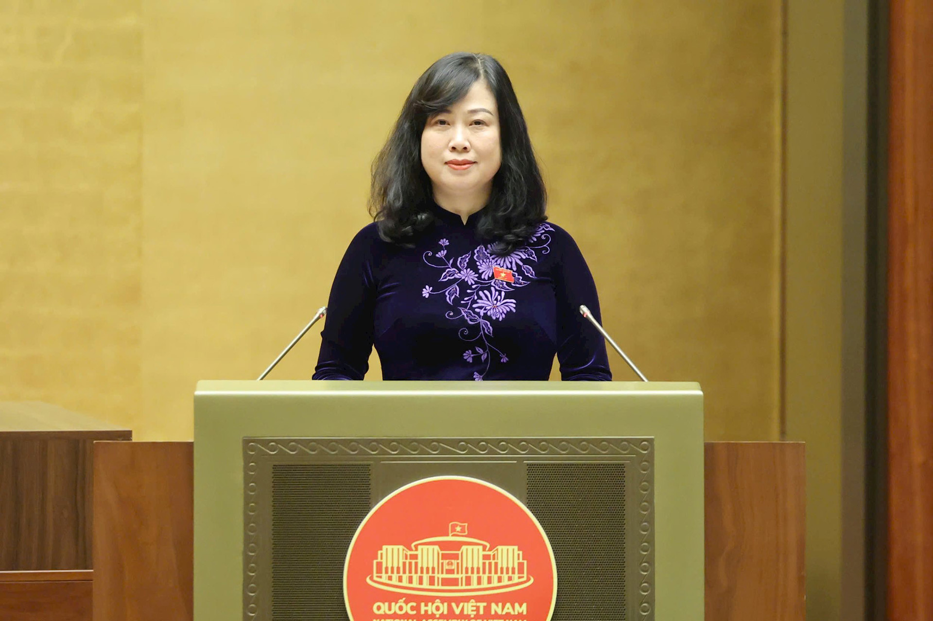 bo truong bo y te dao hong lanz7310714057910_5941c158d0933ec254fe69455e646c31.jpg