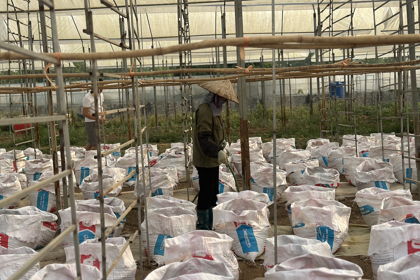 Điện Biên đẩy mạnh cơ chế phối hợp trong xây dựng nông thôn mới