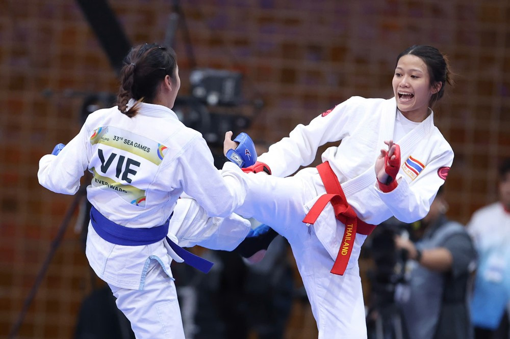 ju jitsu viet nam.jpg