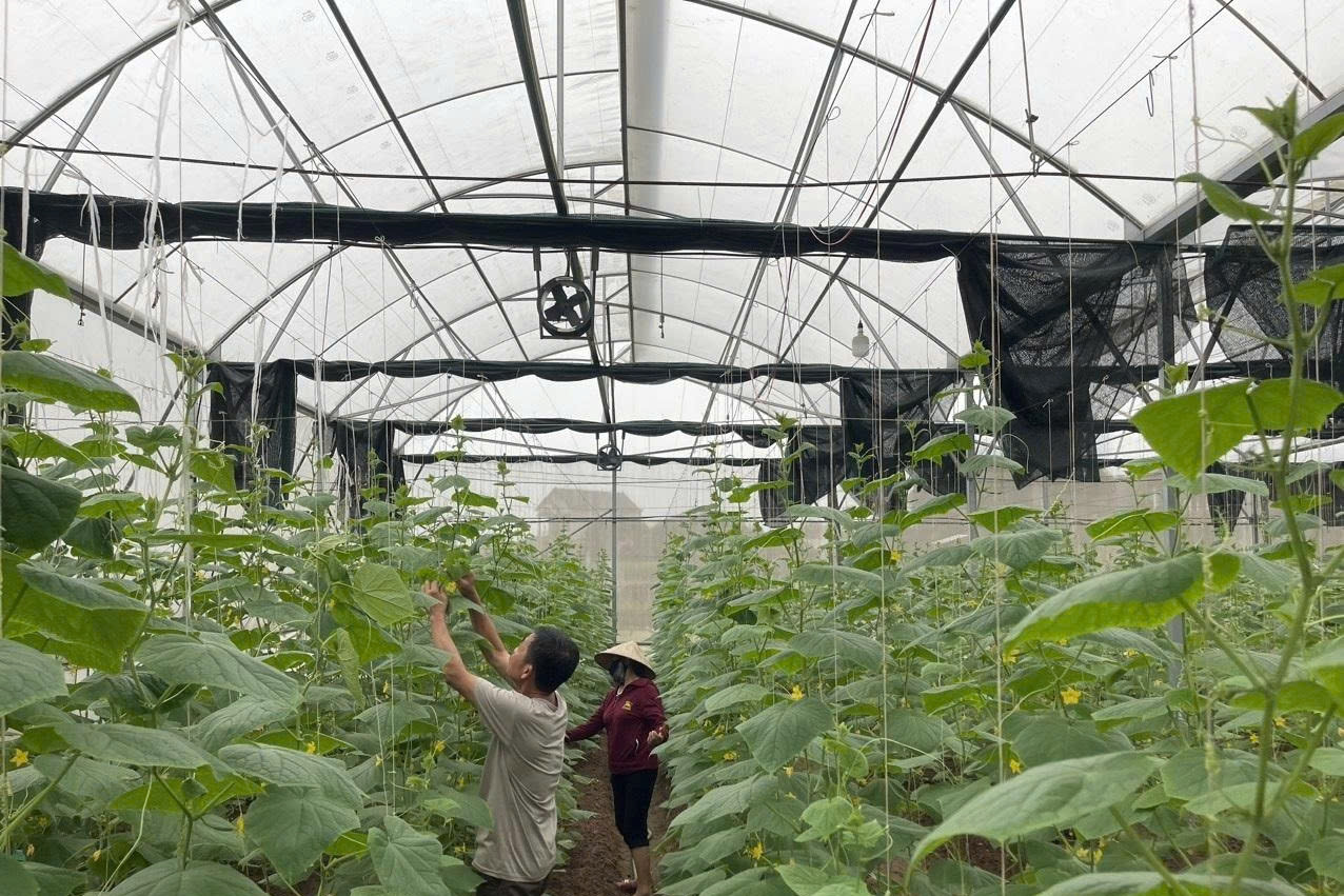 Nông dân Hà Nội chuyển đổi số, kiến tạo nông thôn xanh – nông nghiệp số