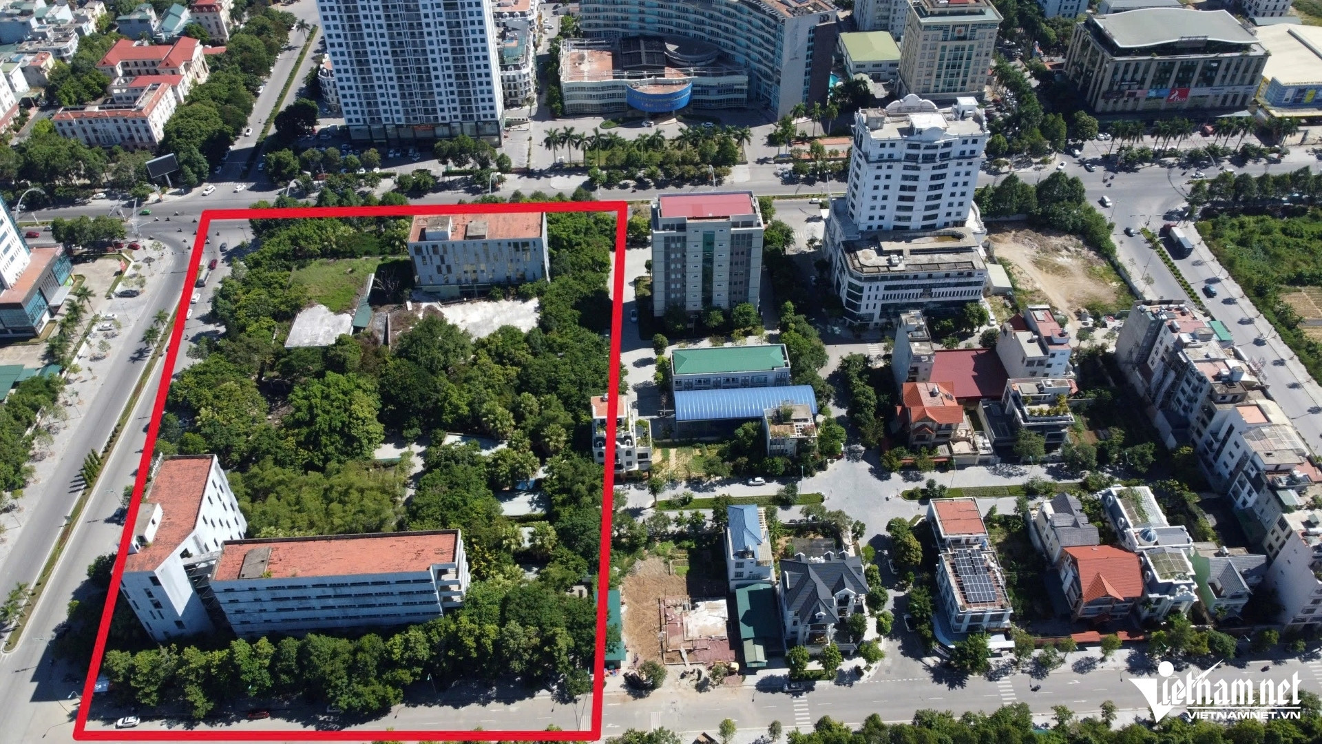 trường liên cấp thanh hoa.jpg