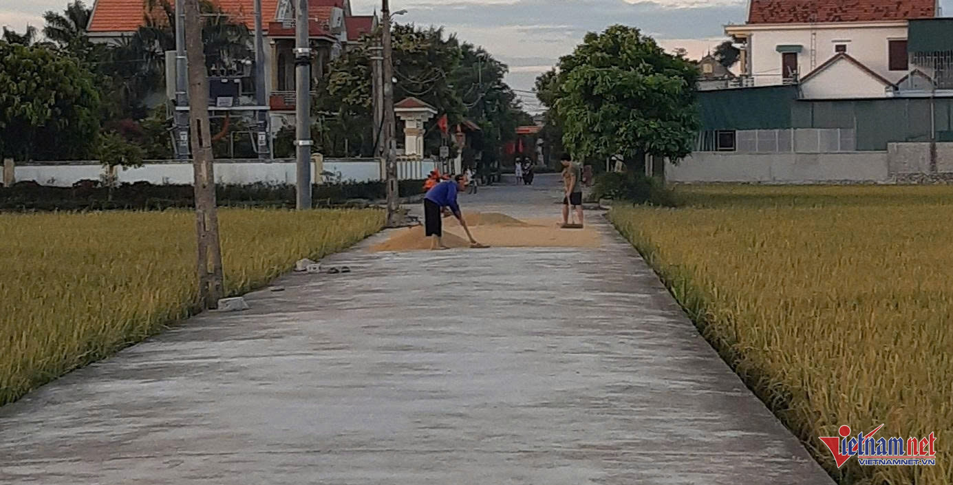 W-anh bai an giang.jpg