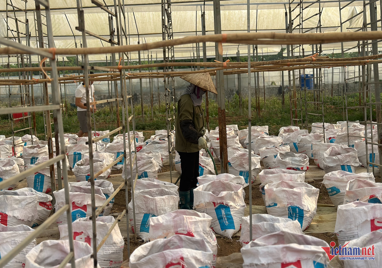 W-điện biên ntm.png