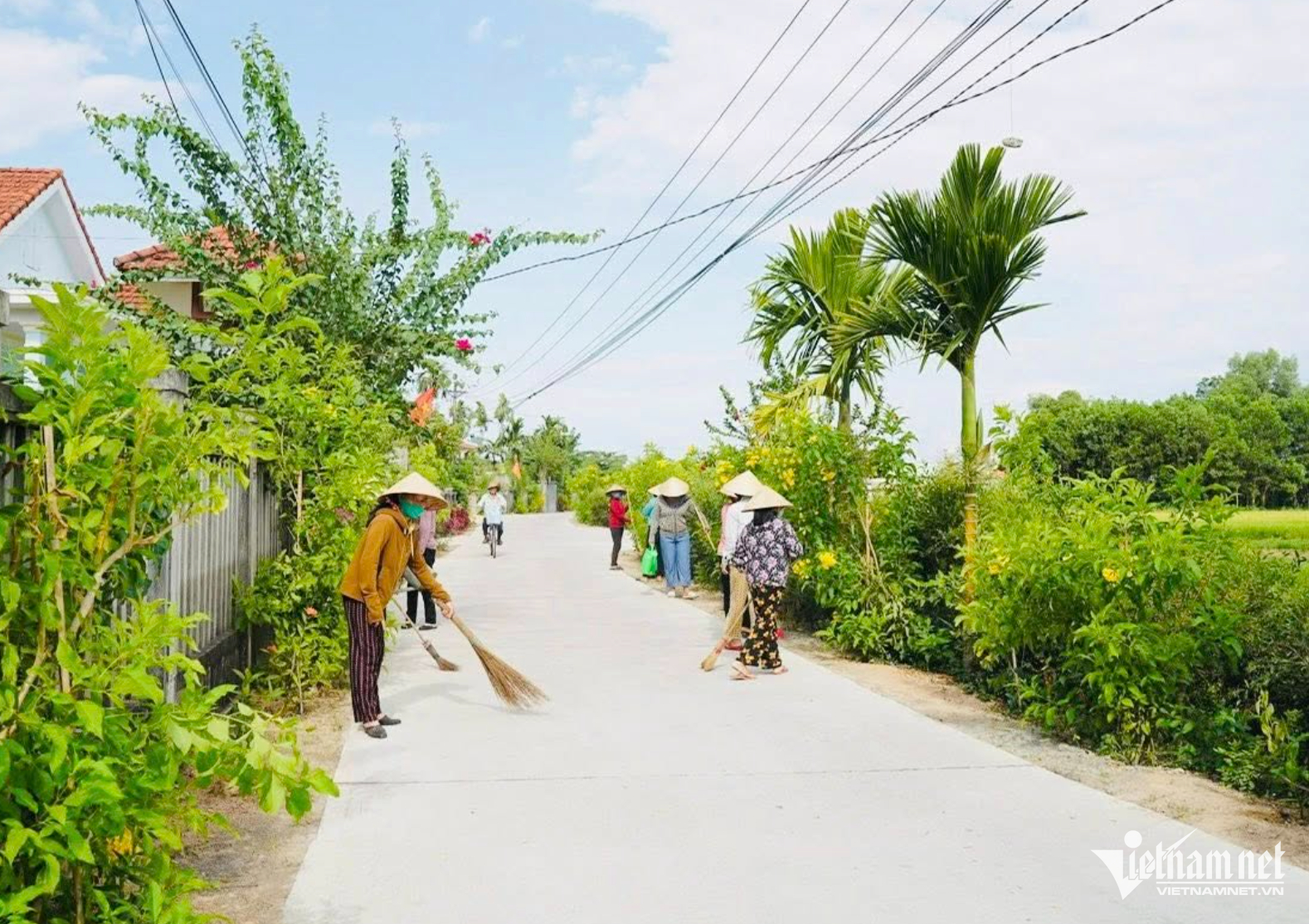 W-Quảng Điền.png