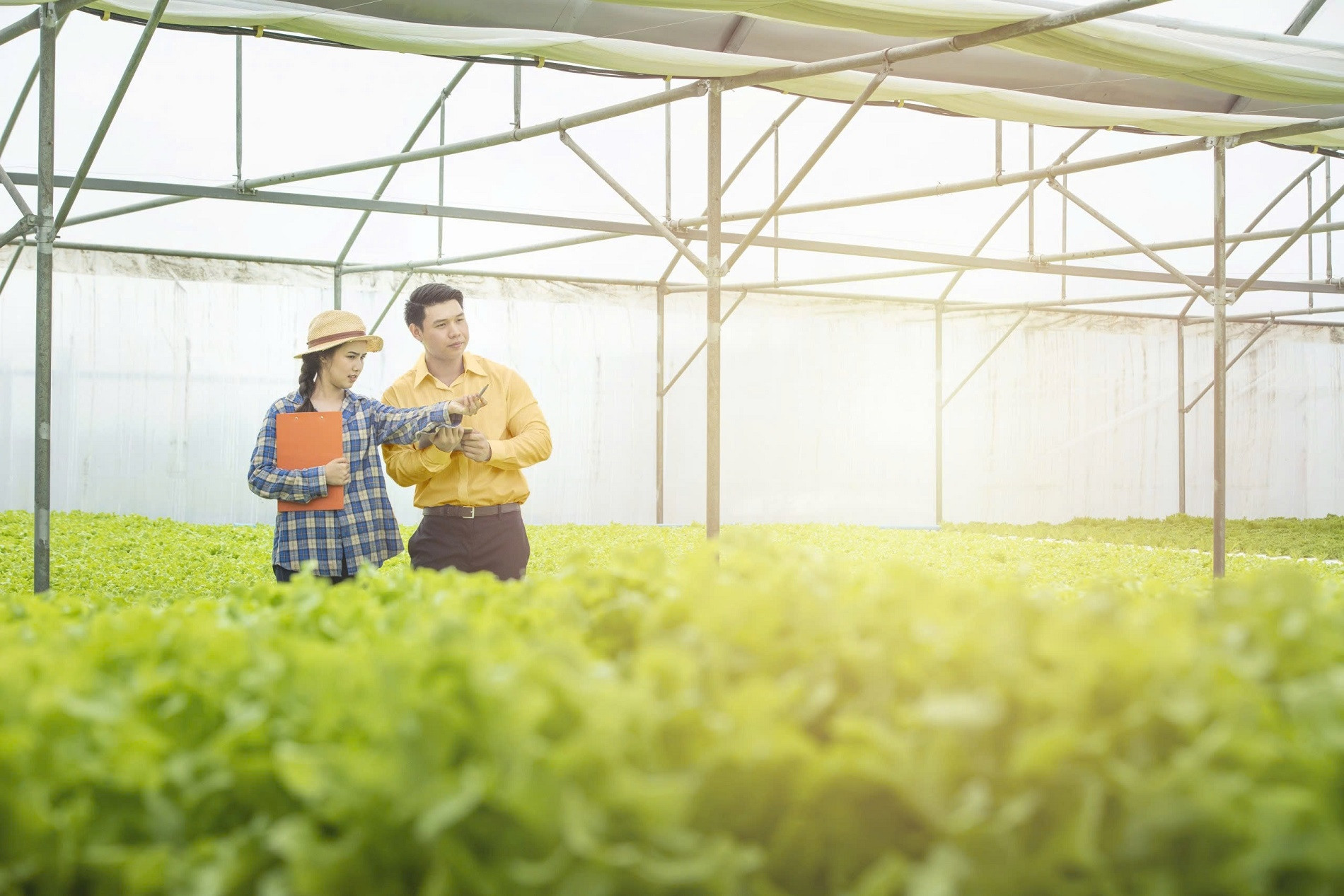 Bac A Bank đồng hành cùng nông nghiệp công nghệ cao và tài chính xanh