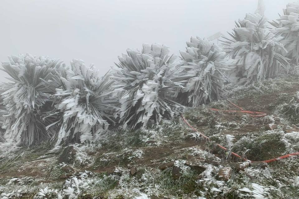 Đón không khí lạnh mạnh, miền Bắc có nơi dưới 5 độ