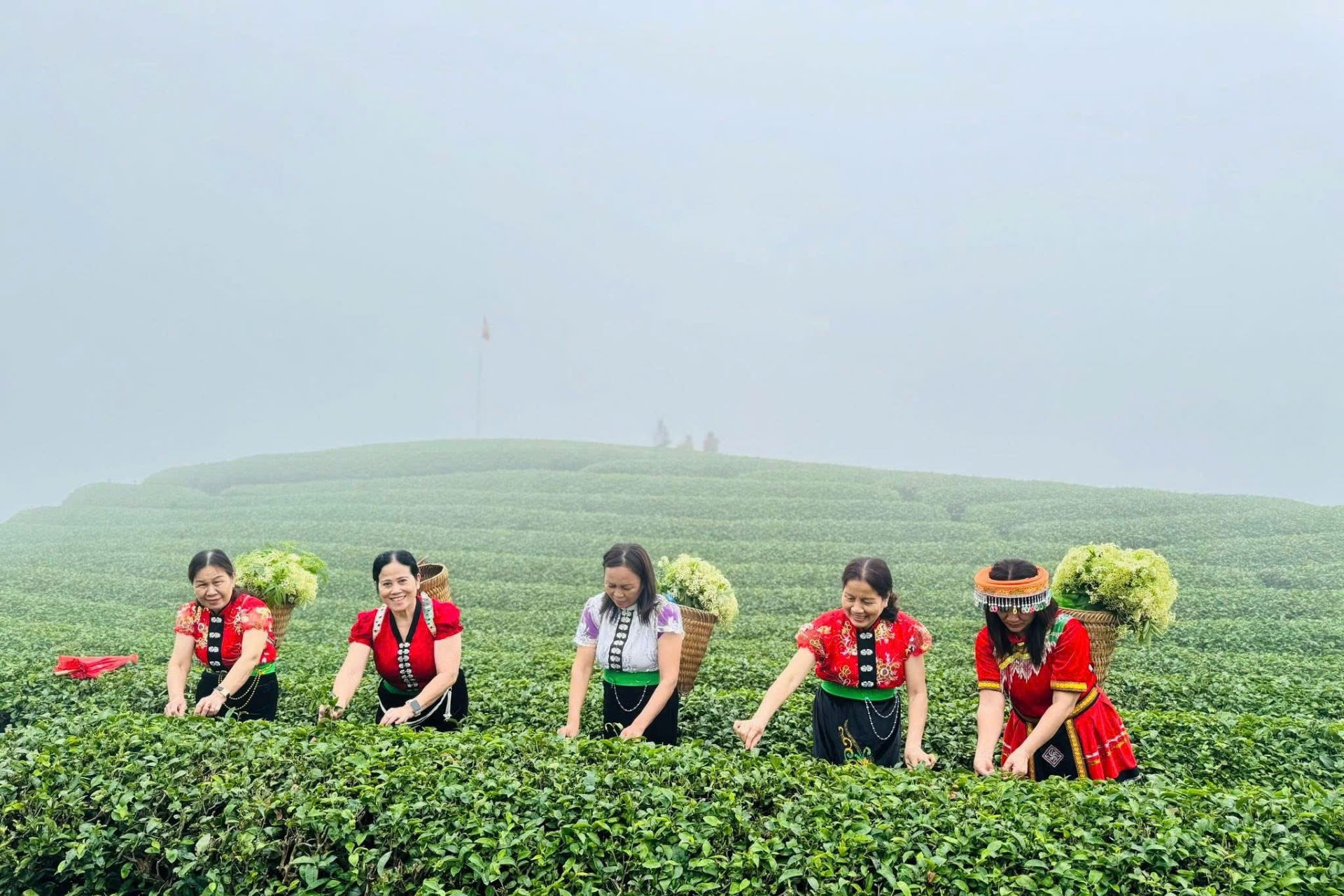 Du lịch nông thôn tạo sức sống mới cho làng nghề Việt