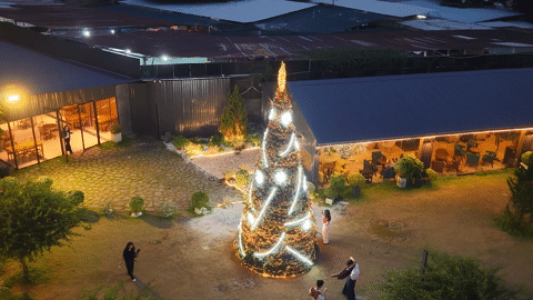 Giới trẻ tranh thủ check-in Giáng sinh sớm bên cây thông cao 7m ở TPHCM