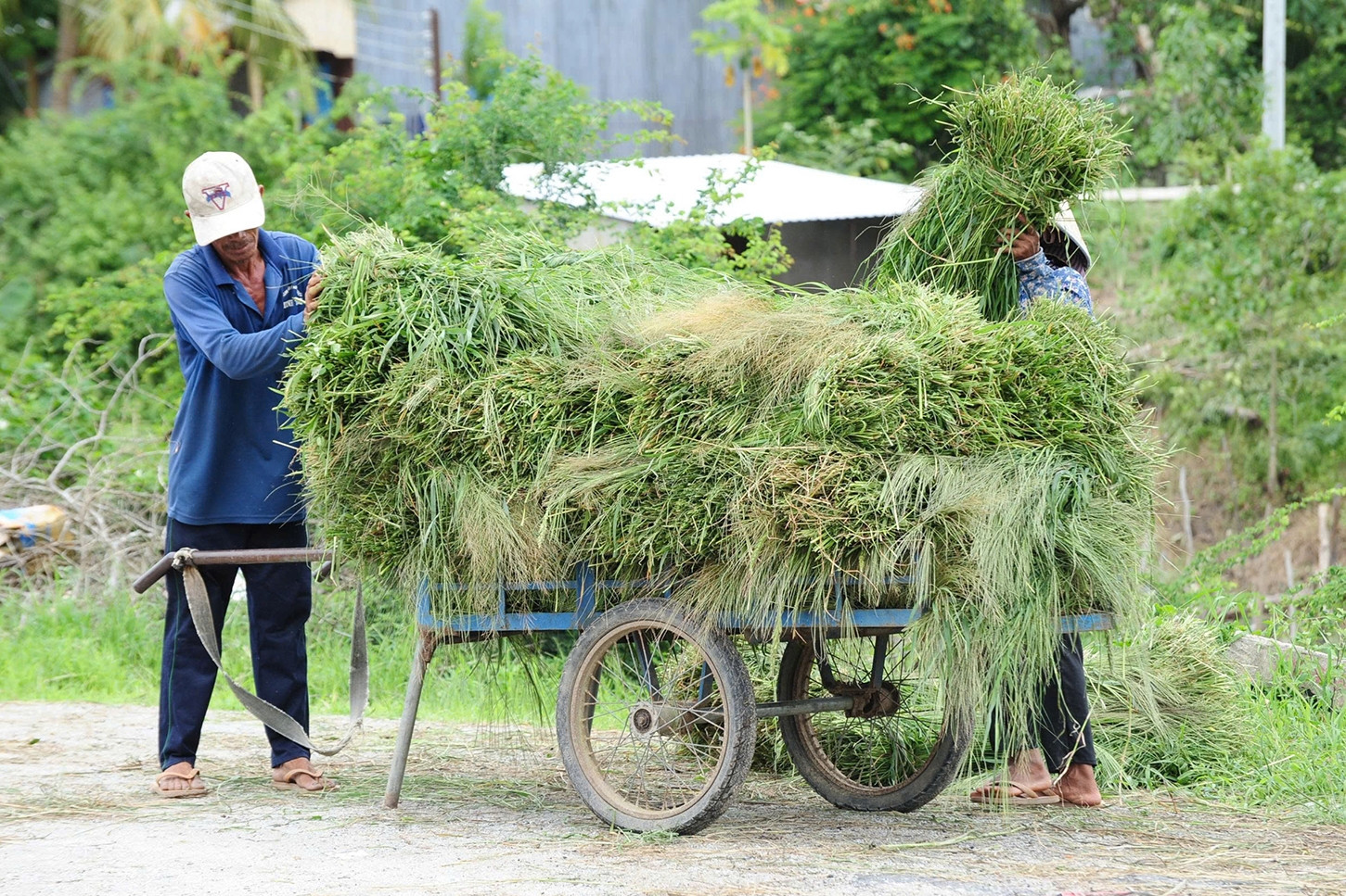 Phiên chợ độc lạ ở An Giang buôn bán 'thứ bỏ đi', nuôi sống bao phận người