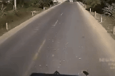 Tai nạn 4 người chết ở Lạng Sơn: Tài xế xe 7 chỗ dương tính ma túy