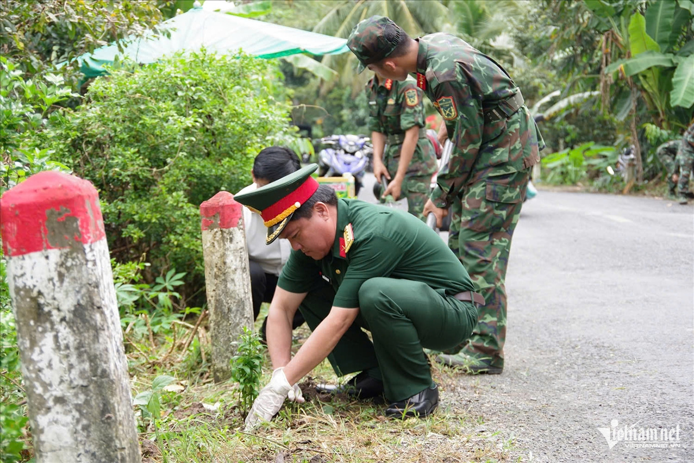 W-Tào Đạt ảnh 2.jpg