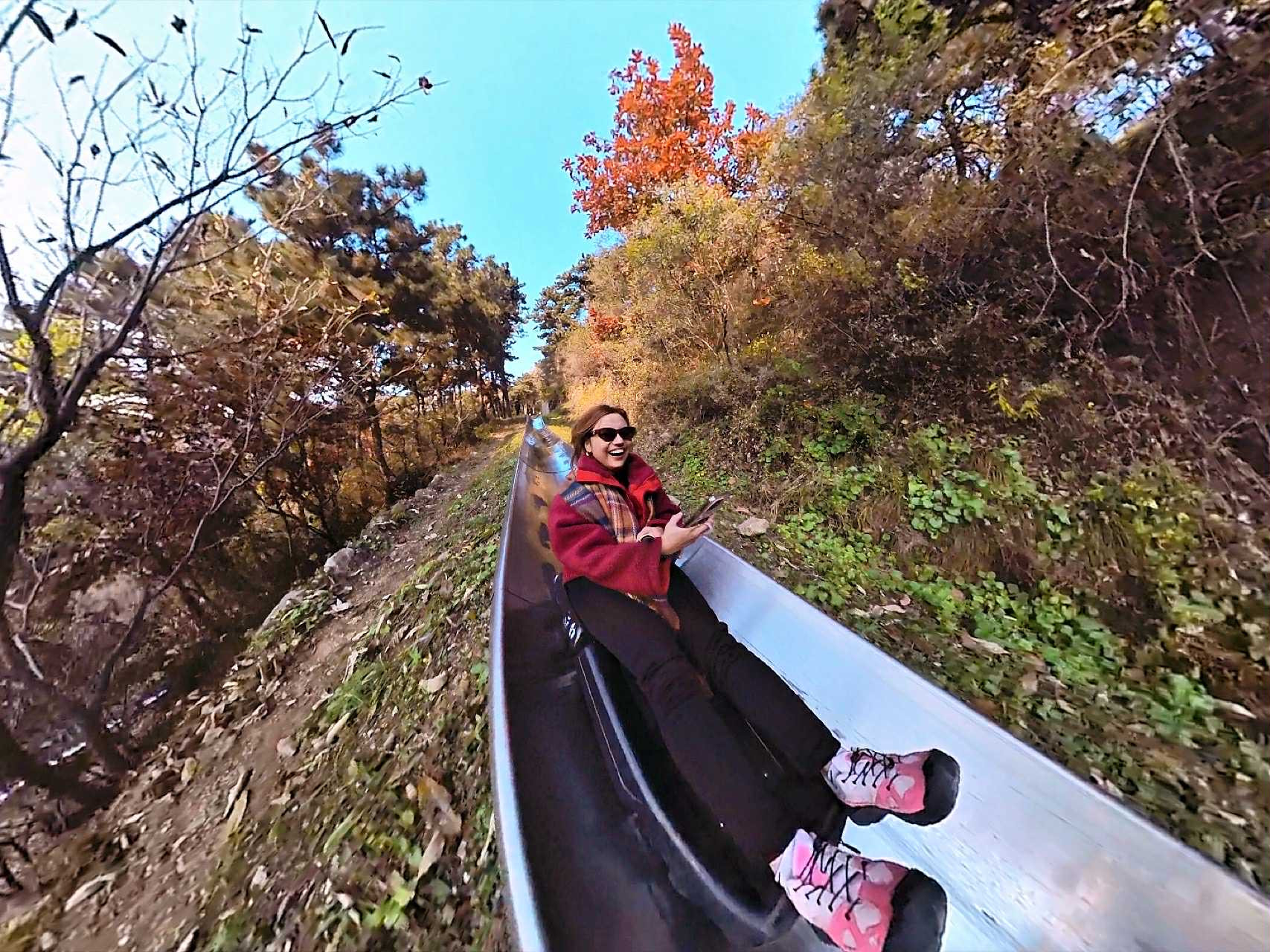 d1d23668 34d7 4bc7 befd 165a8382995c.jpg