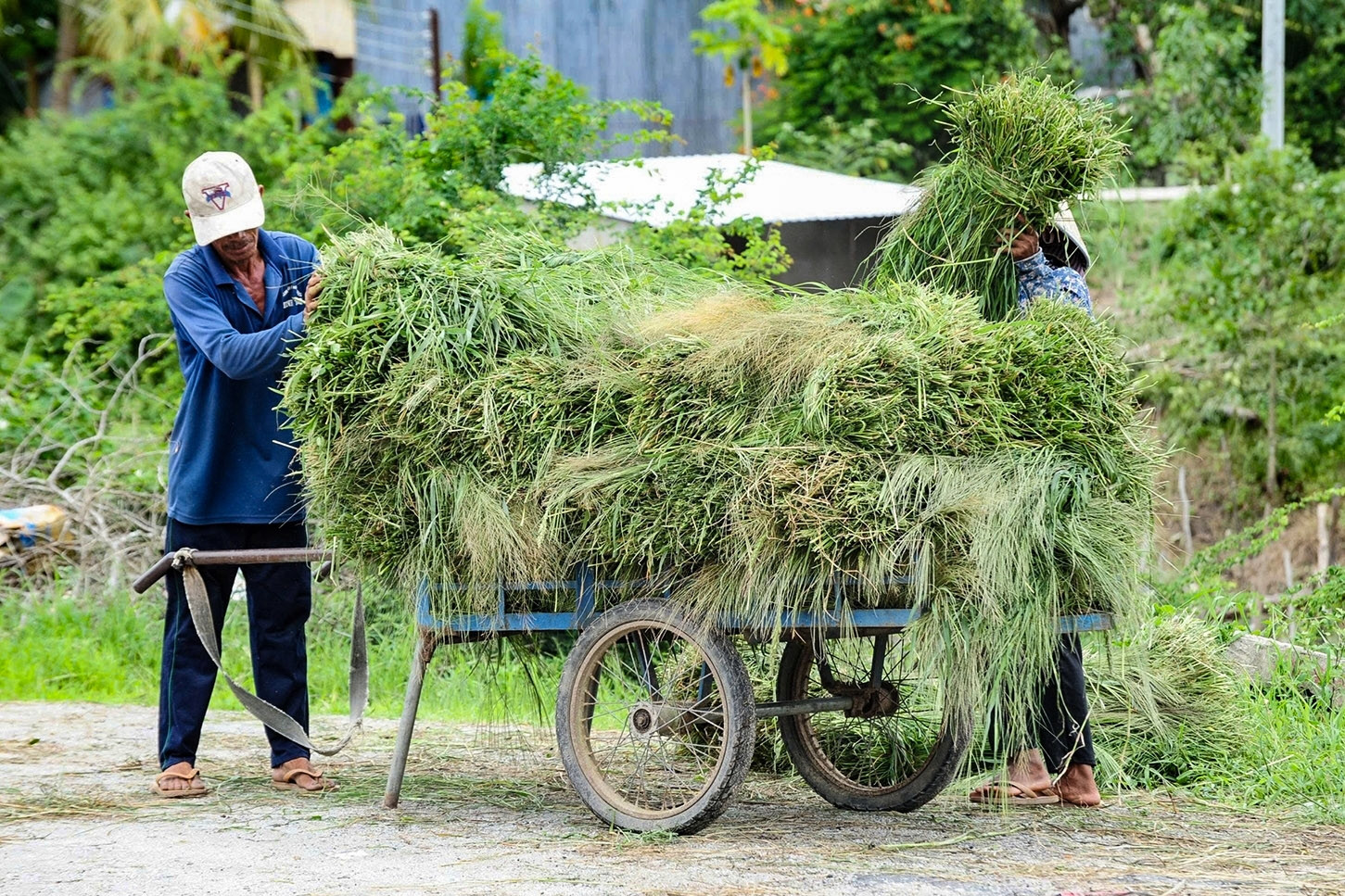 Phiên chợ độc lạ ở An Giang buôn bán 'thứ bỏ đi', nuôi sống bao phận người