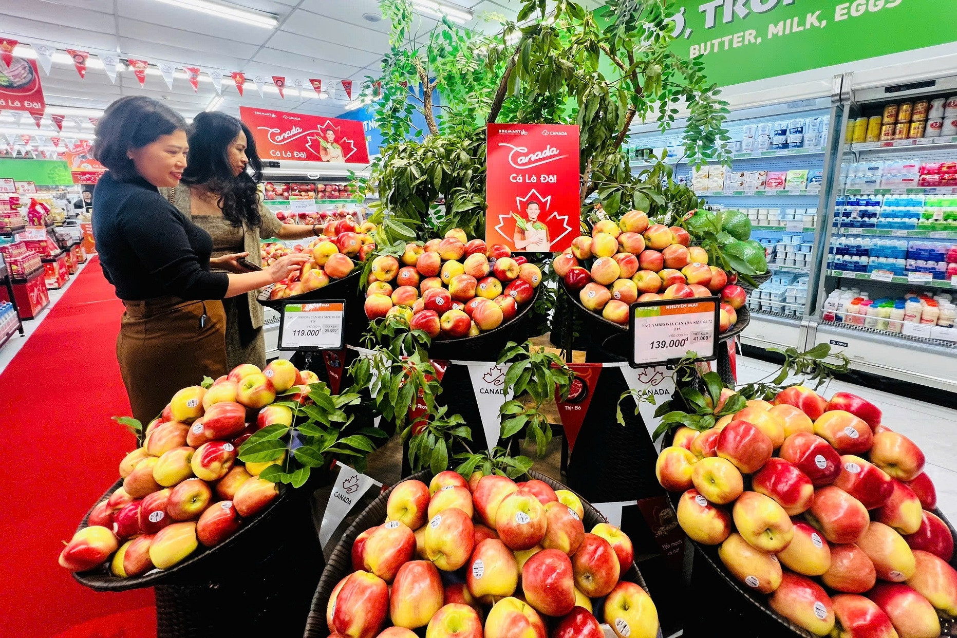 Khai mạc Lễ hội Nông sản và Thực phẩm Canada 2025 tại BRGMart