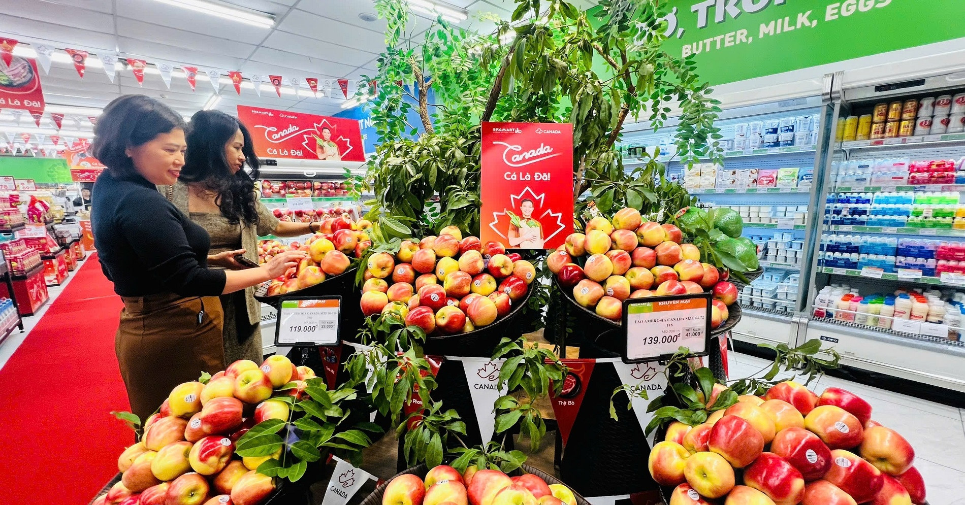 Khai mạc Lễ hội Nông sản và Thực phẩm Canada 2025 tại BRGMart